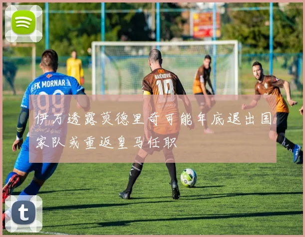 伊万透露莫德里奇可能年底退出国家队或重返皇马任职